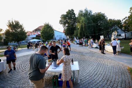 24504X0909 – kopija